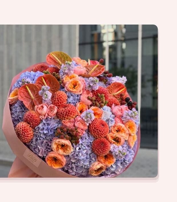 Sunset Lavender - Hydrangea · Dahlia · Anthurium · Garden rose